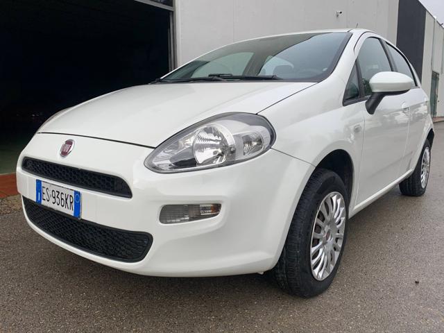 FIAT Punto Bianco pastello
