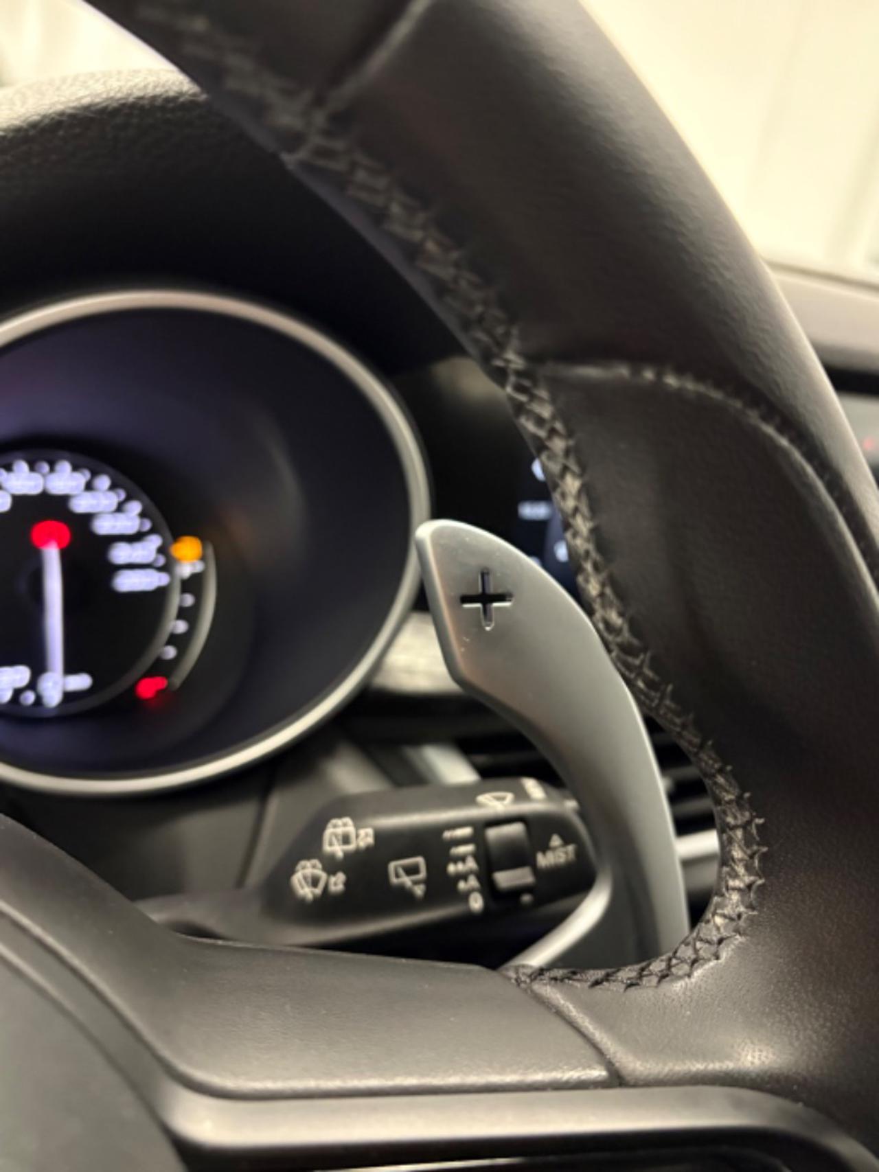 ALFA ROMEO Stelvio 2.2 Turbodiesel 160 CV AT8 RWD Super IVA ESPOSTA - 11