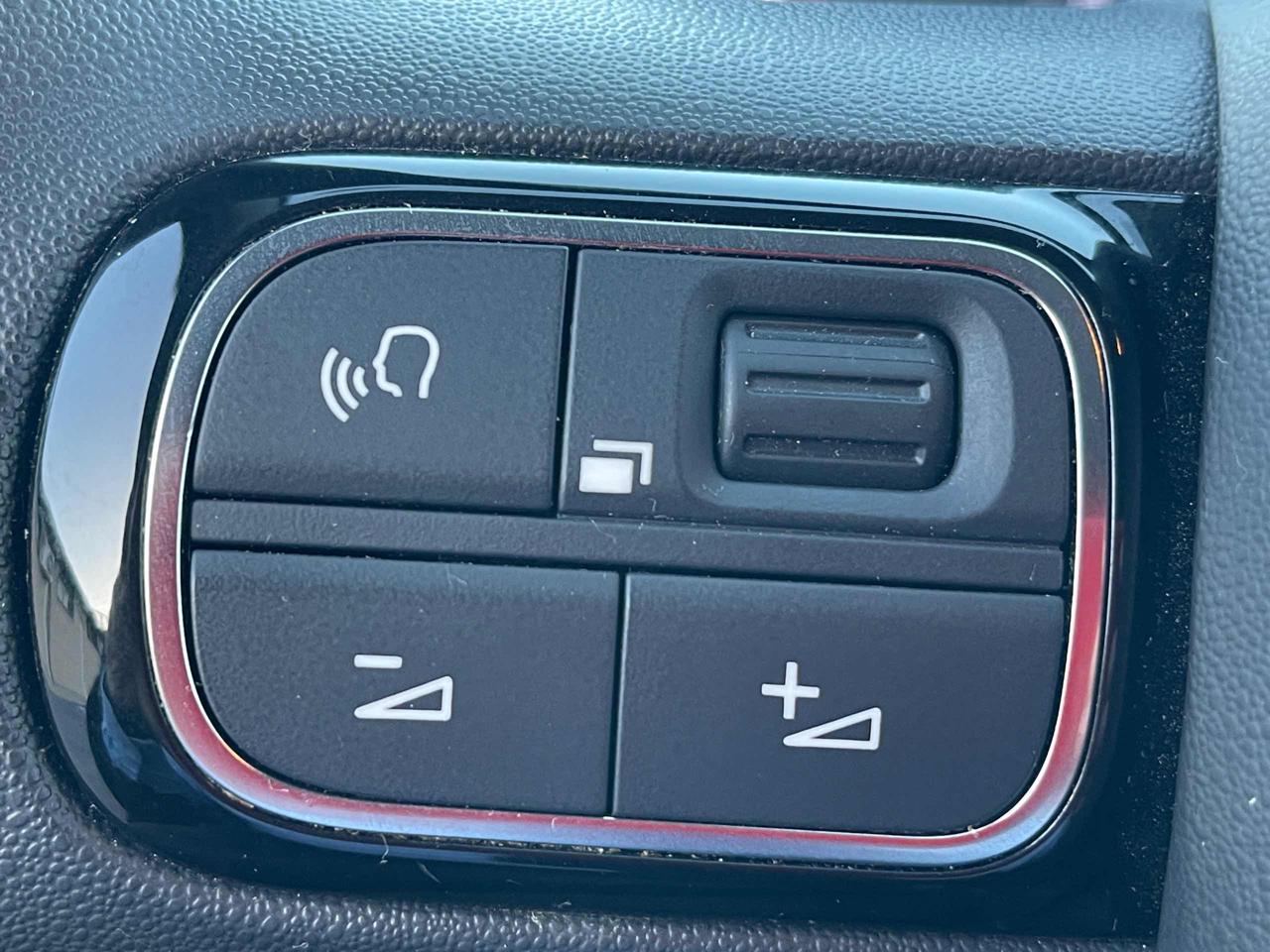 CITROEN C3 BlueHDi 100 S&S You - 10