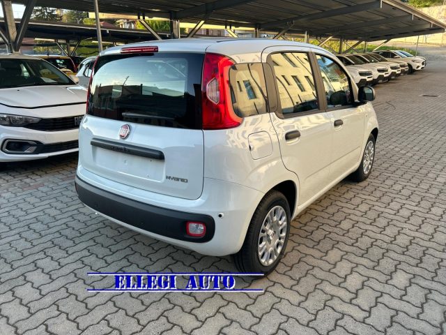 FIAT Panda Bianco extraserie pastello
