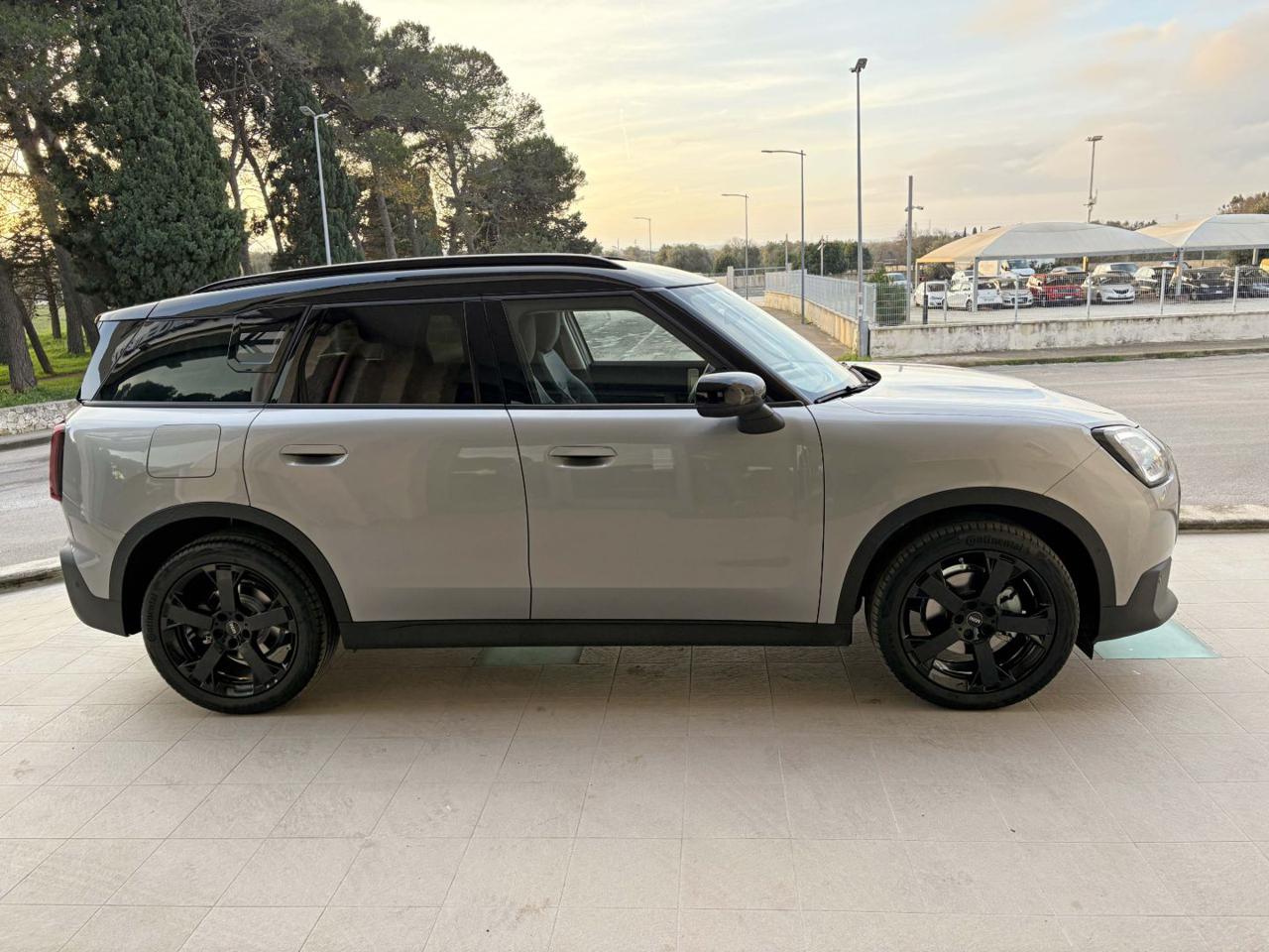 MINI Countryman D Classic Countryman CERCHI DA 19. - 4