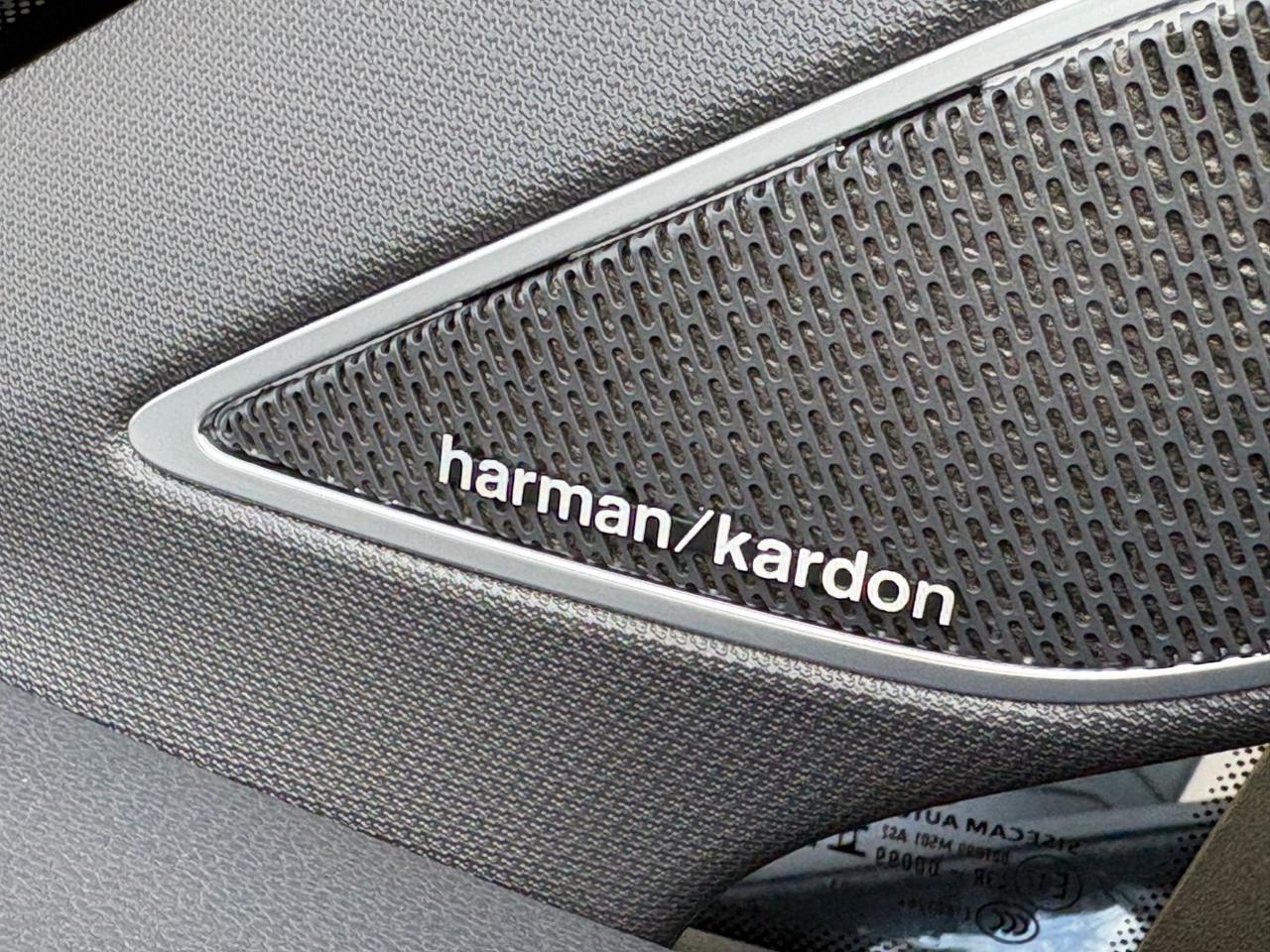 VOLKSWAGEN Golf 2.0 TSI GTI DSG TETTO-LED-PELLE-CERCHI 19 R. - 41