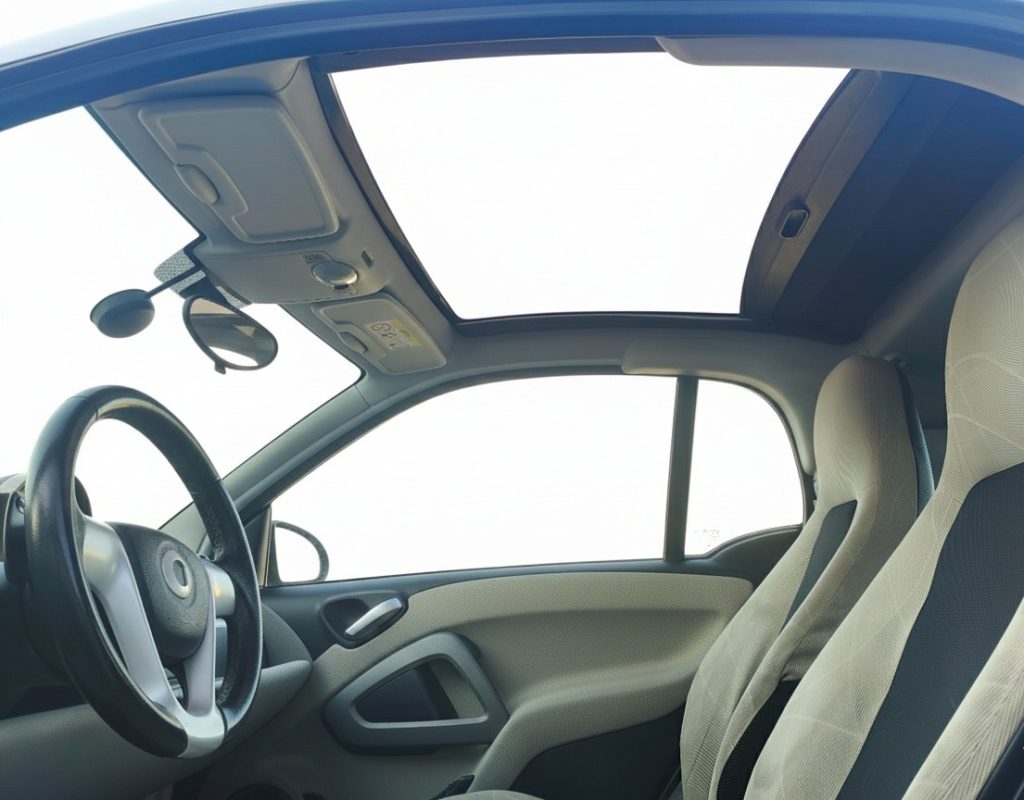 SMART ForTwo 1000 52 kW MHD Coupé Pure Conto Vendita - 9