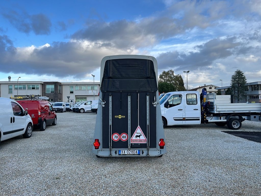 HUMBAUR carrello trailer hambaur trasporto cavalli - 5