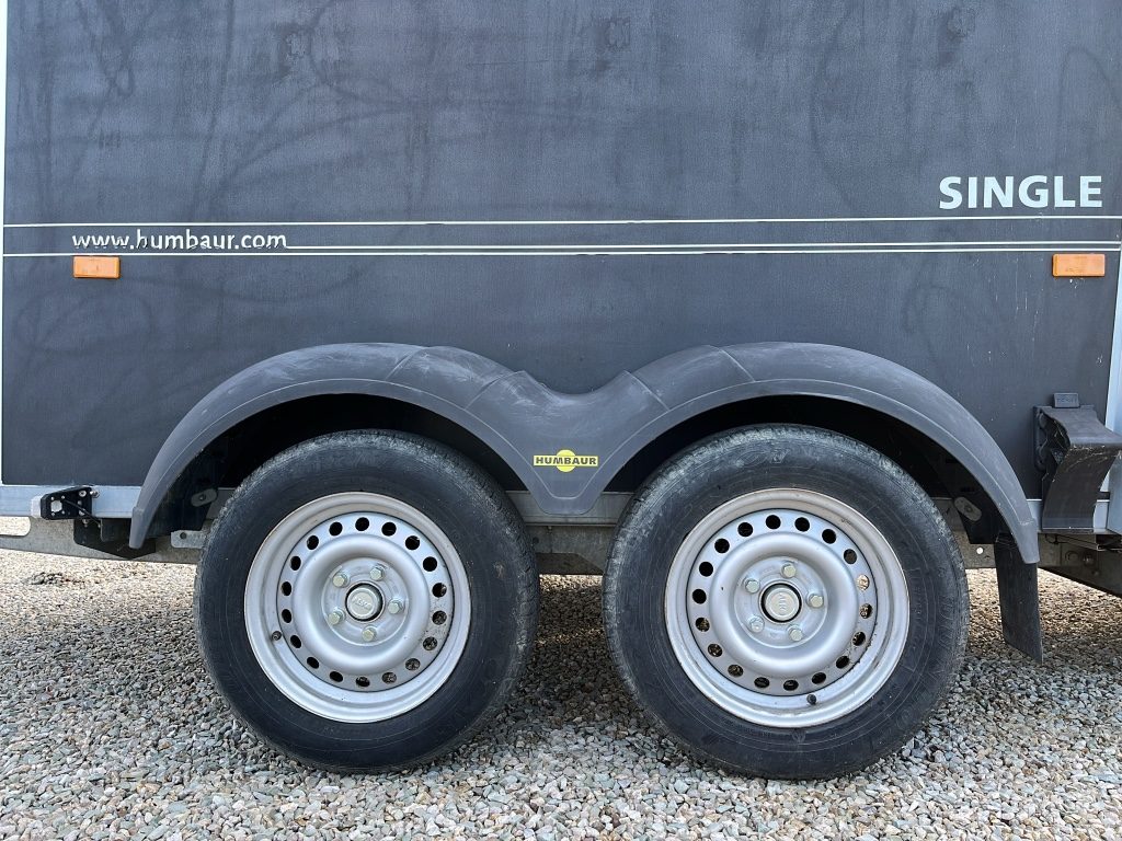 HUMBAUR carrello trailer hambaur trasporto cavalli - 12