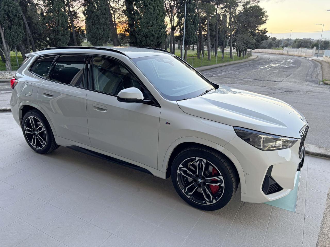 BMW X1 xDrive 20d Msport Pro. - 3