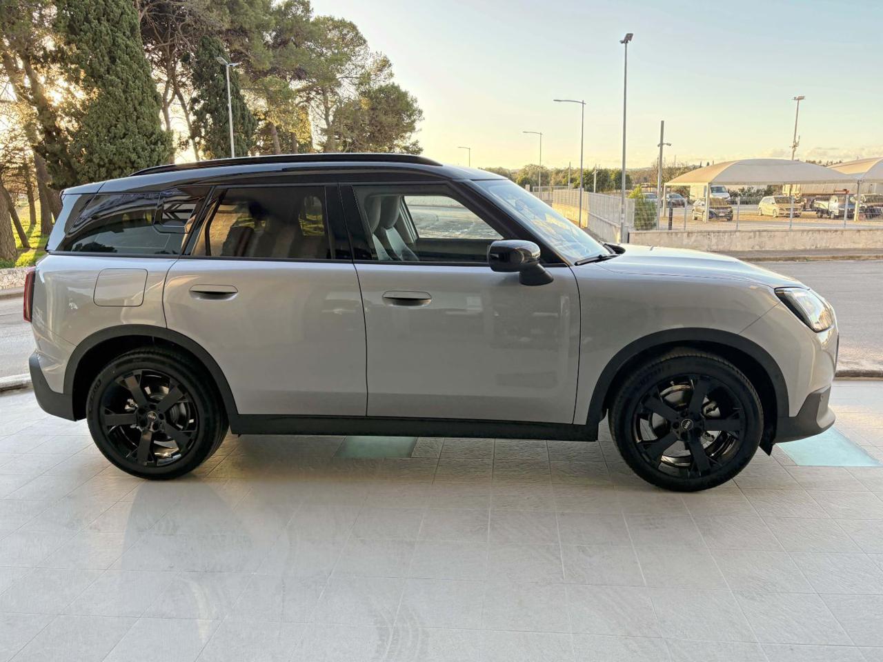 MINI Countryman D Classic Countryman CERCHI DA 19. - 4