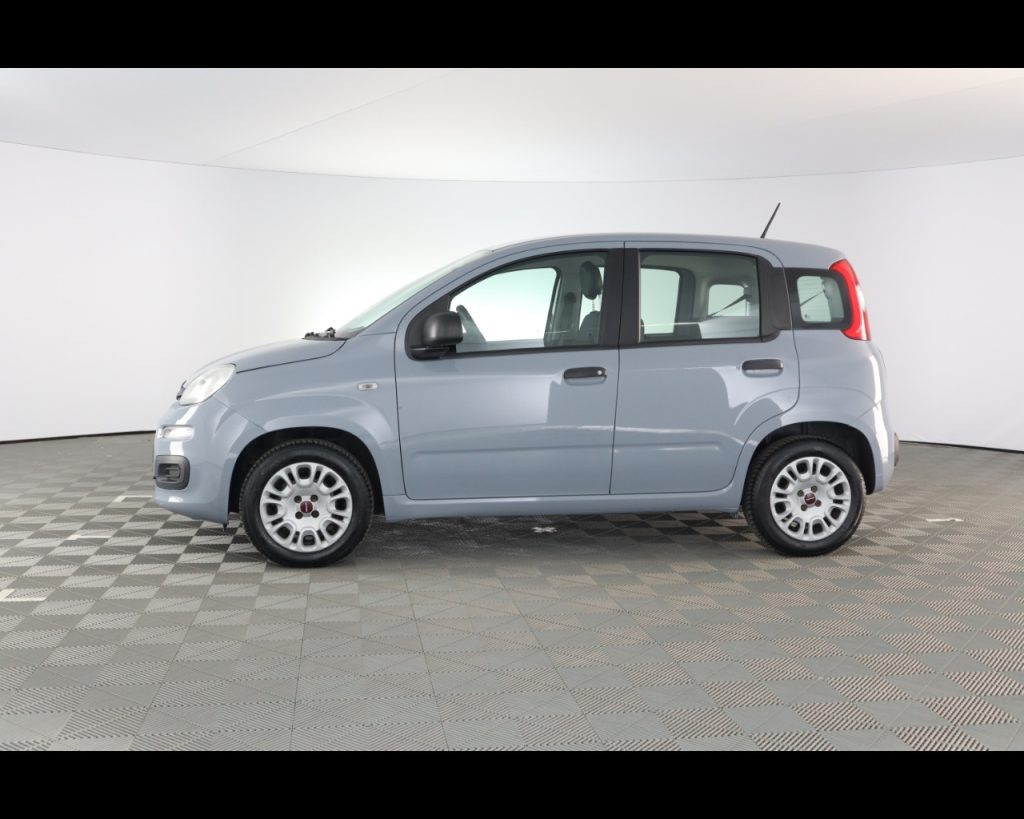 FIAT Panda 1.2 Easy easypower Gpl 69cv my19 - 12