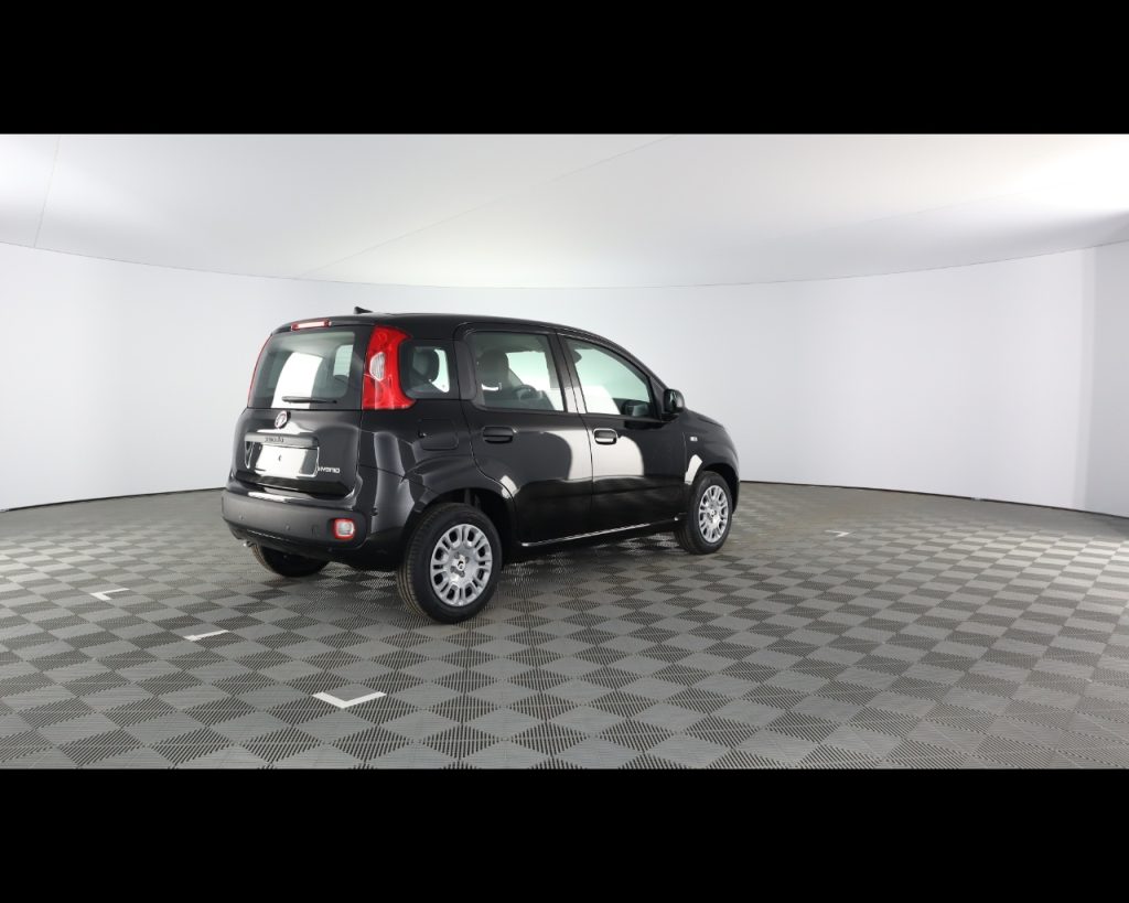 FIAT Panda 1.0 firefly hybrid Icon s&s 70cv 5p.ti - 10