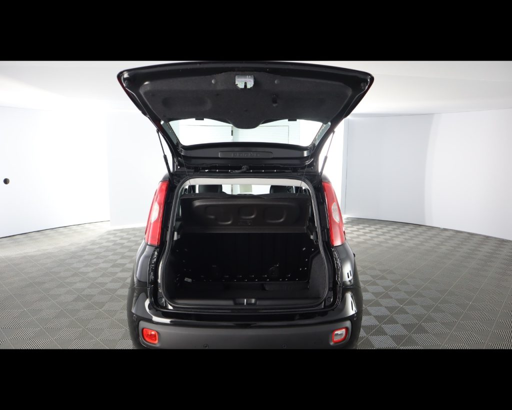 FIAT Panda 1.0 firefly hybrid Icon s&s 70cv 5p.ti - 21