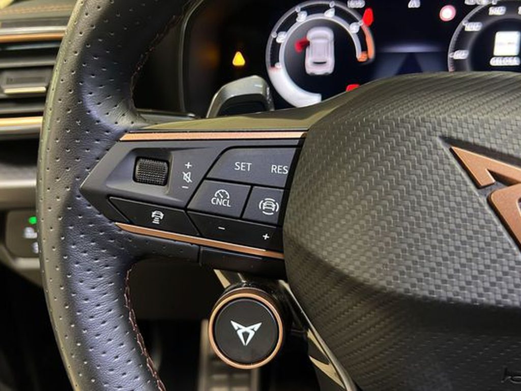 CUPRA Formentor 2.0 tdi 150cv dsg - 12