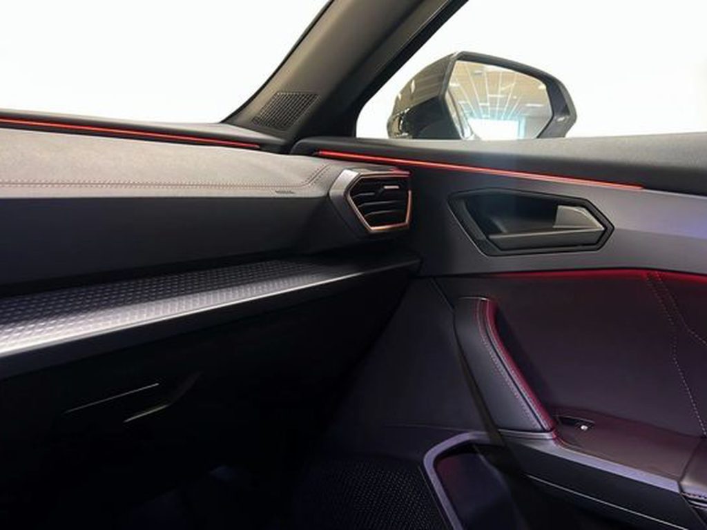 CUPRA Formentor 2.0 tdi 150cv dsg - 18