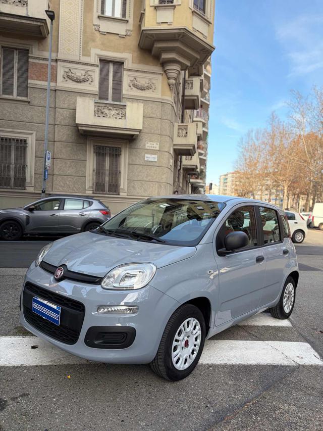 FIAT Panda Grigio pastello
