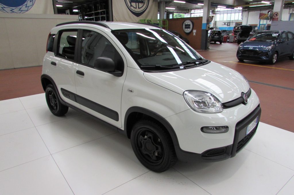 FIAT Panda 0.9 TwinAir Turbo 85cv S&S 4x4 - 2