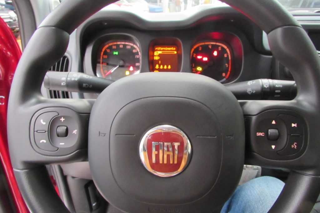 FIAT Panda Cross 1.0 FireFly 70cv S&S Hybrid CROSS - 10