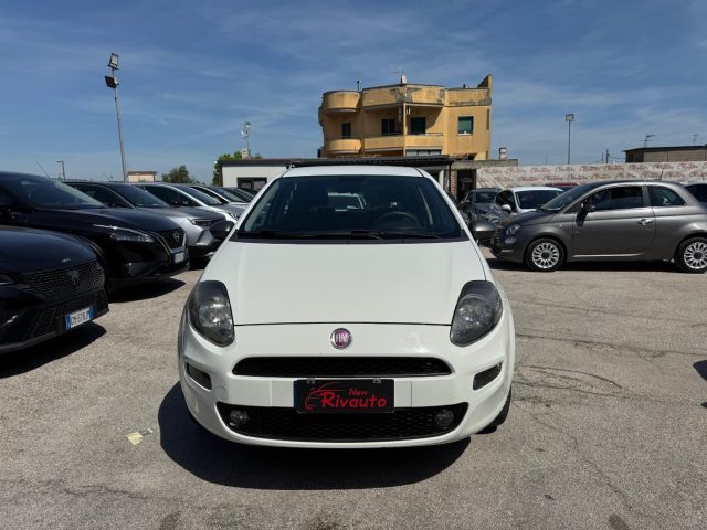 FIAT Punto Bianco pastello