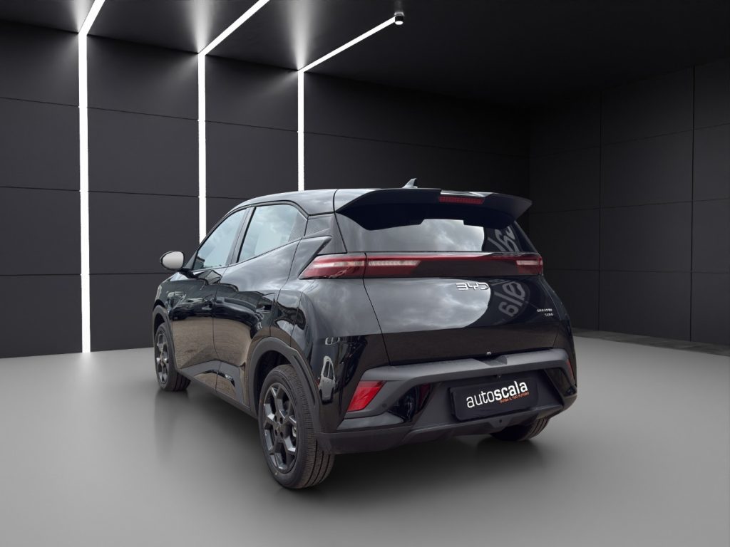 BYD Dolphin Surf 30 kWh Active - 3