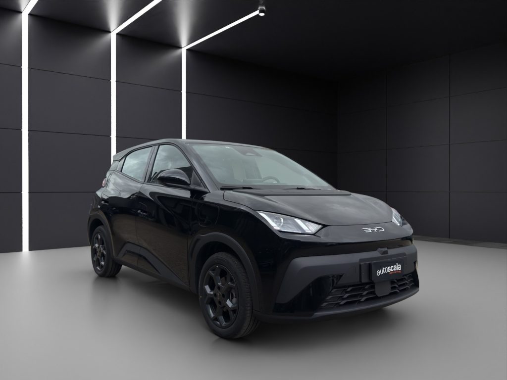 BYD Dolphin Surf 30 kWh Active - 7