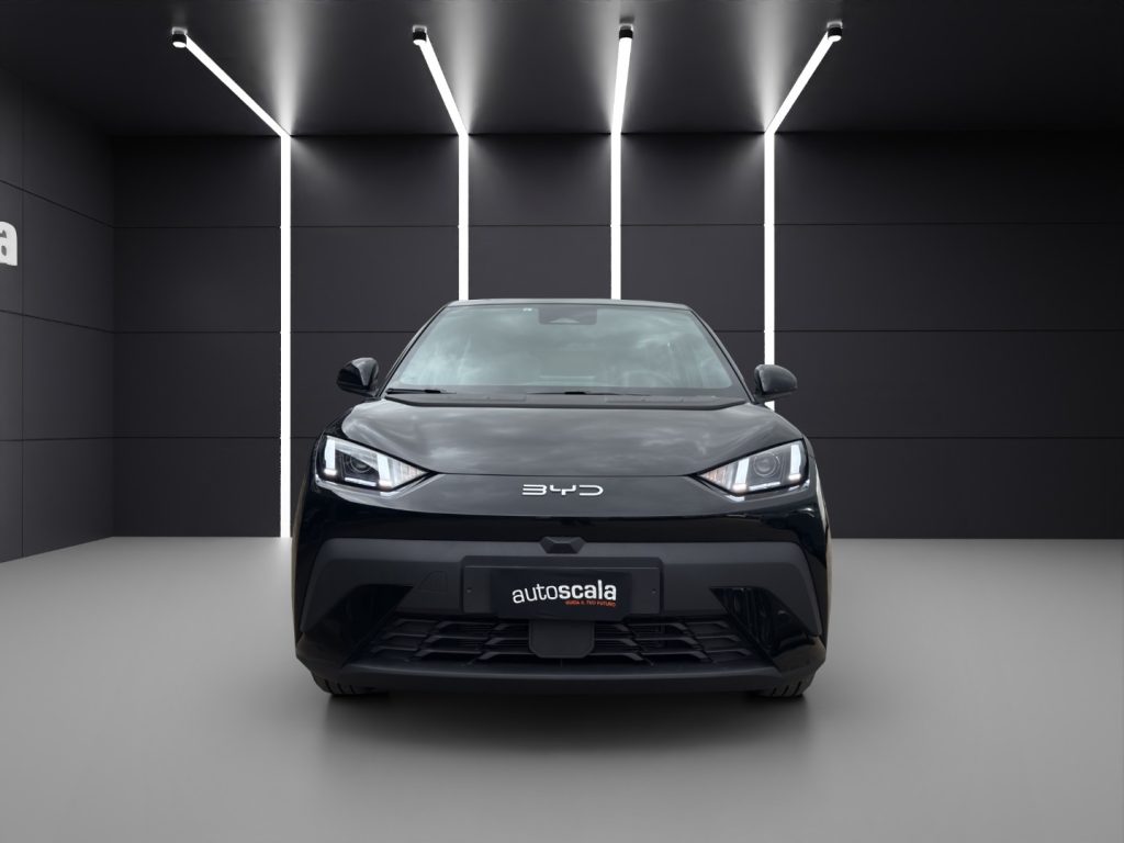 BYD Dolphin Surf 30 kWh Active - 8