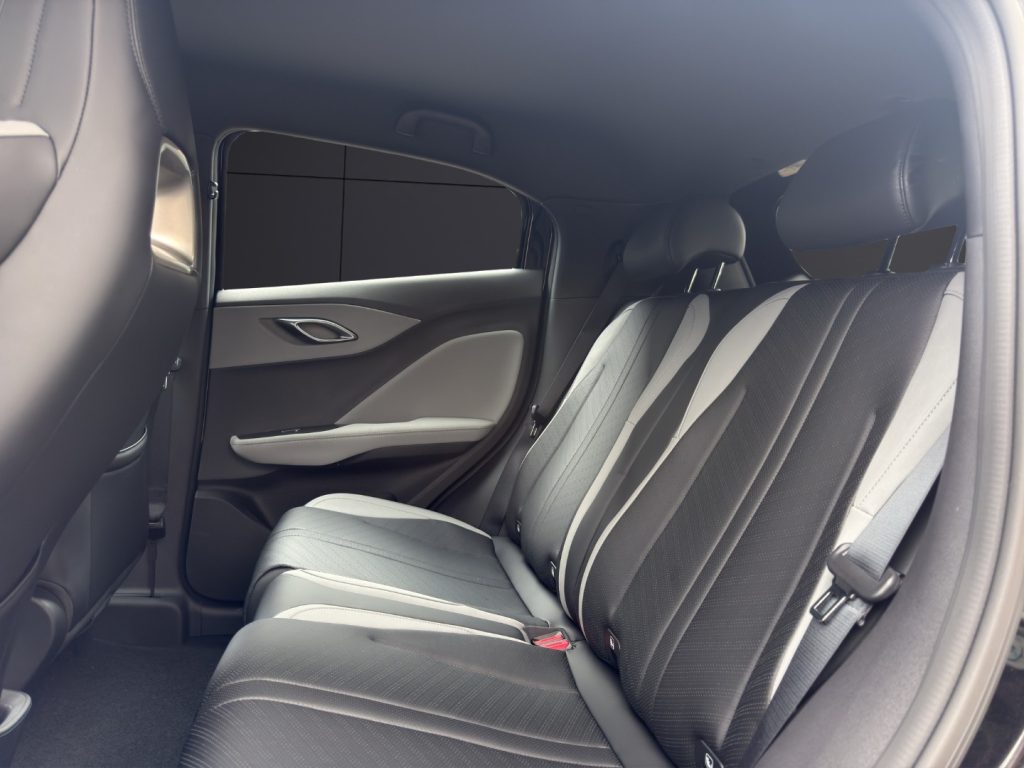 BYD Dolphin Surf 30 kWh Active - 13