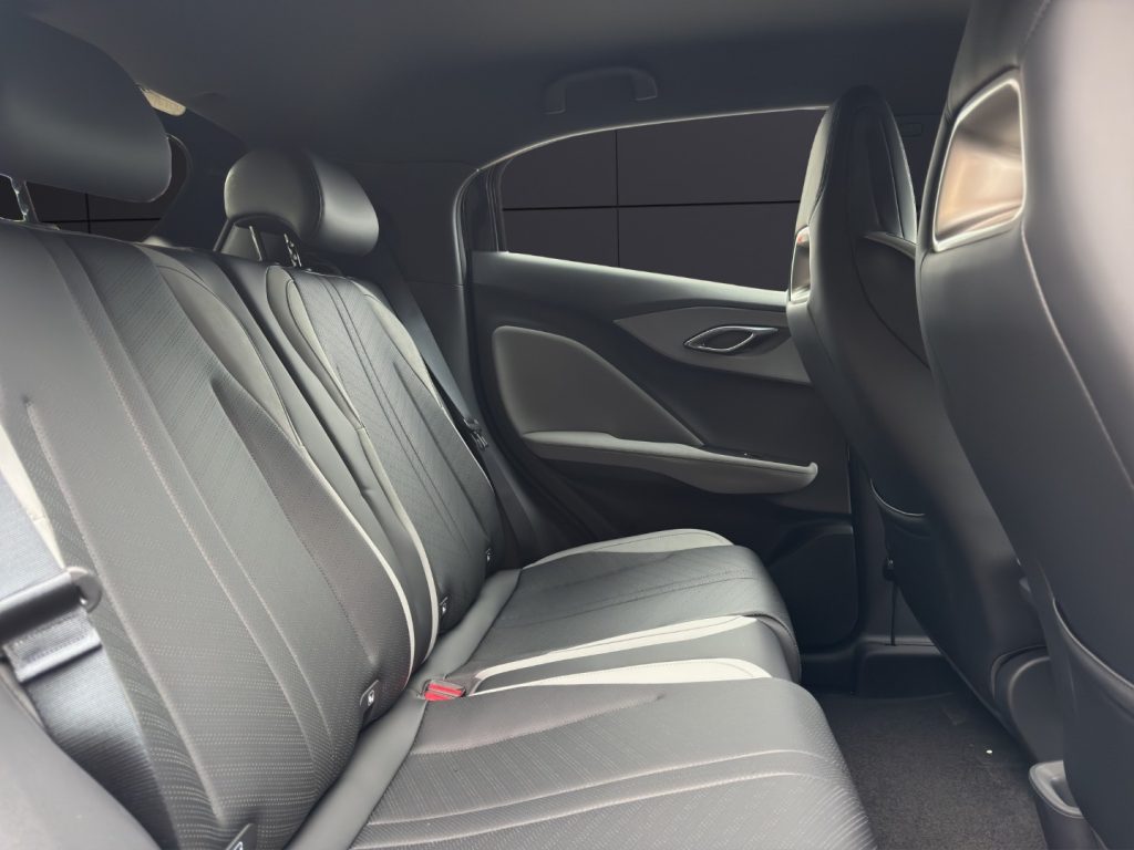 BYD Dolphin Surf 30 kWh Active - 19