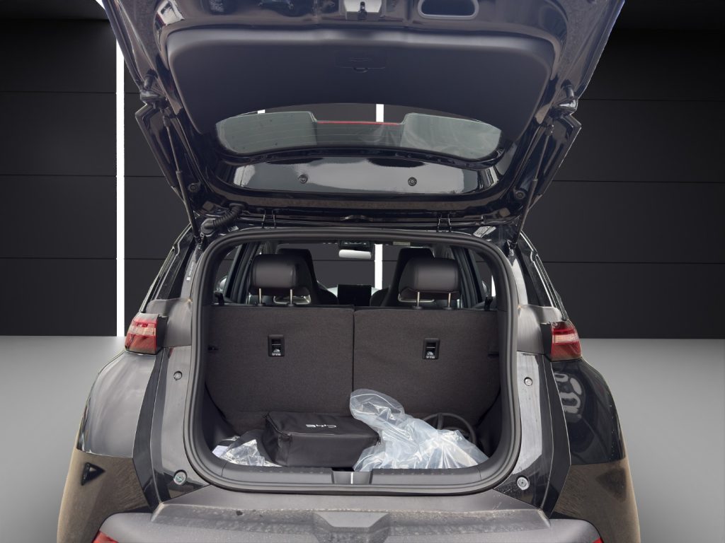 BYD Dolphin Surf 30 kWh Active - 20