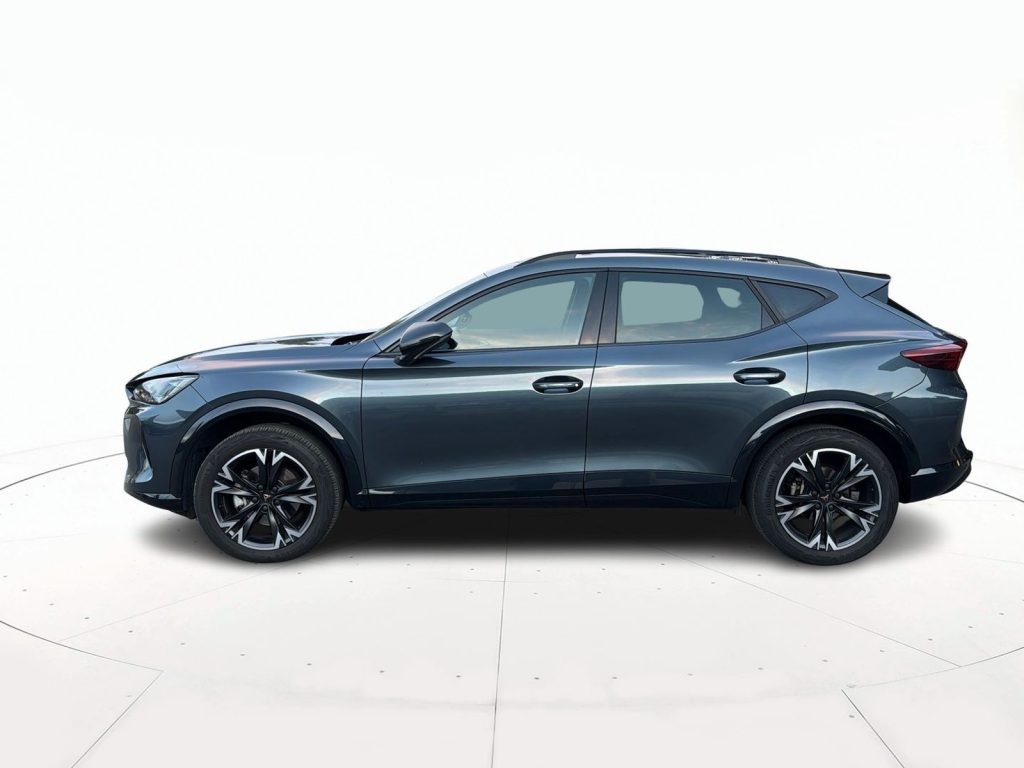 CUPRA Formentor 2.0 tdi 150cv dsg - 6