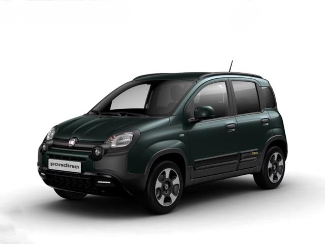 FIAT Panda Verde Foresta metallizzato