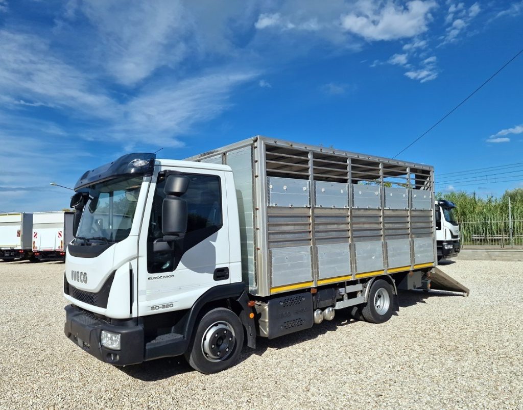 IVECO EUROCARGO 80E22 P E6 CASSA BESTIAME - 27