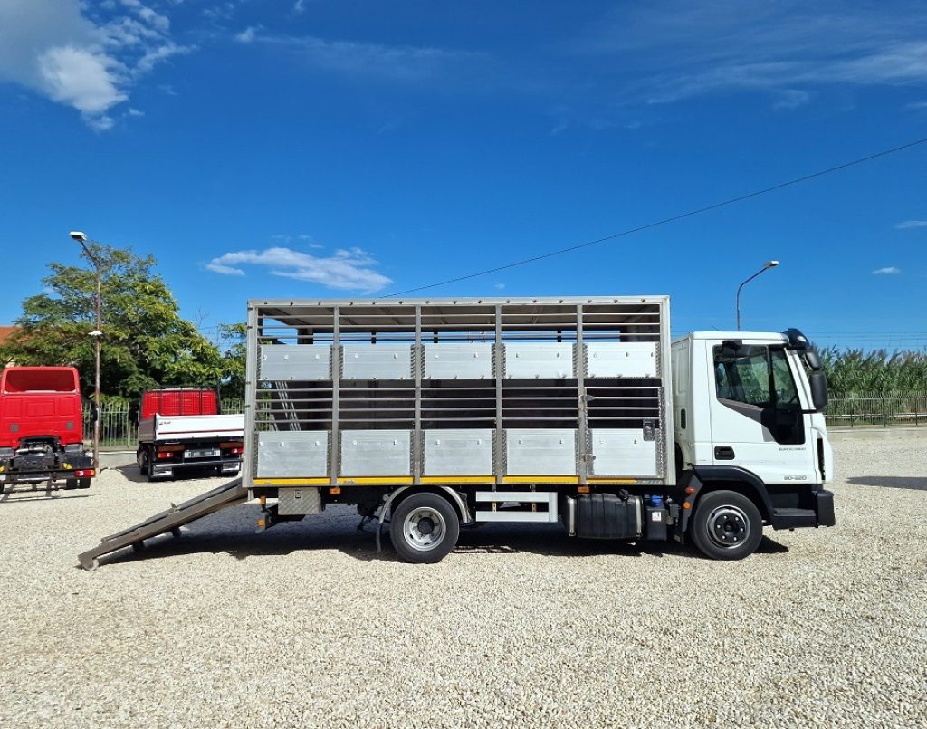 IVECO EUROCARGO 80E22 P E6 CASSA BESTIAME - 4