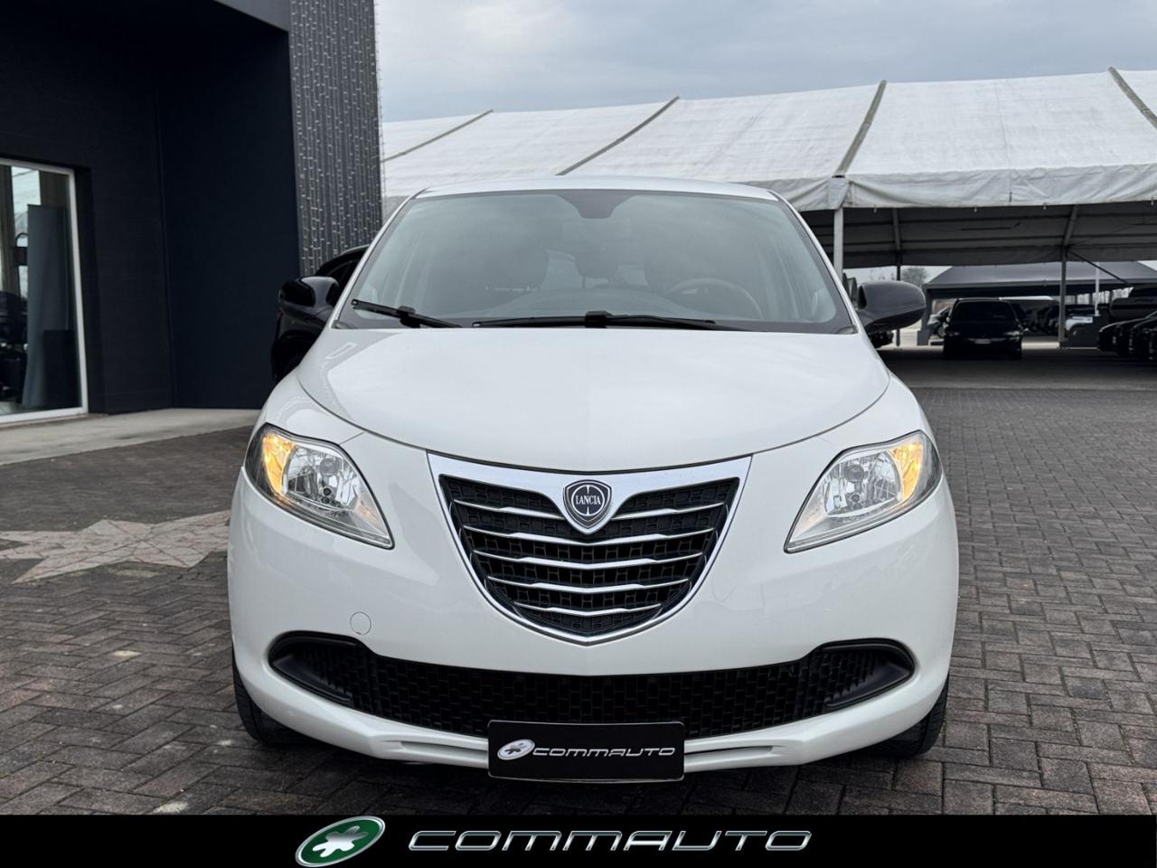 LANCIA Ypsilon 1.2 69 CV 5 porte GPL Ecochic Elefantino - 2