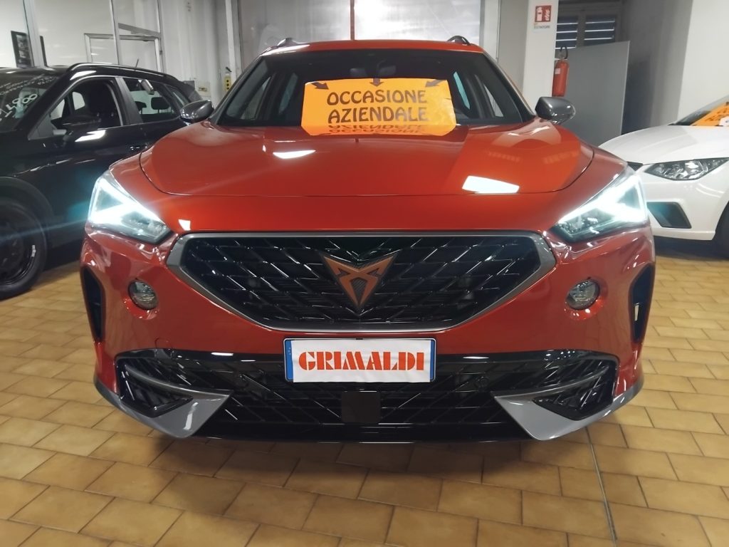 CUPRA Formentor 1.5 TSI DSG 19 - 2