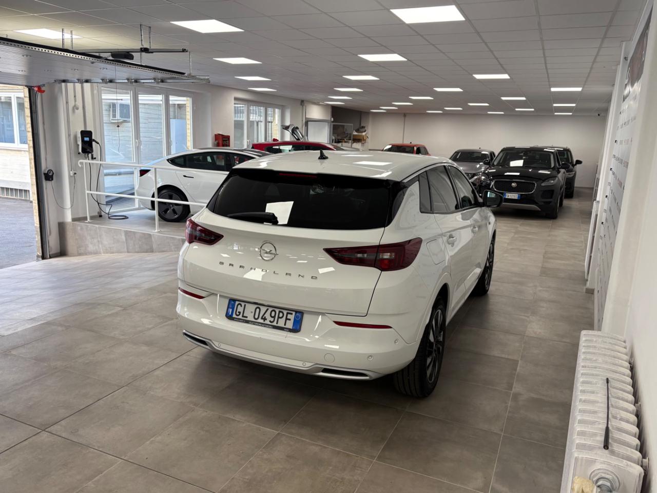 OPEL Grandland 1.5 130 CV AT8 Business Elegance IVA ESPOSTA! - 4