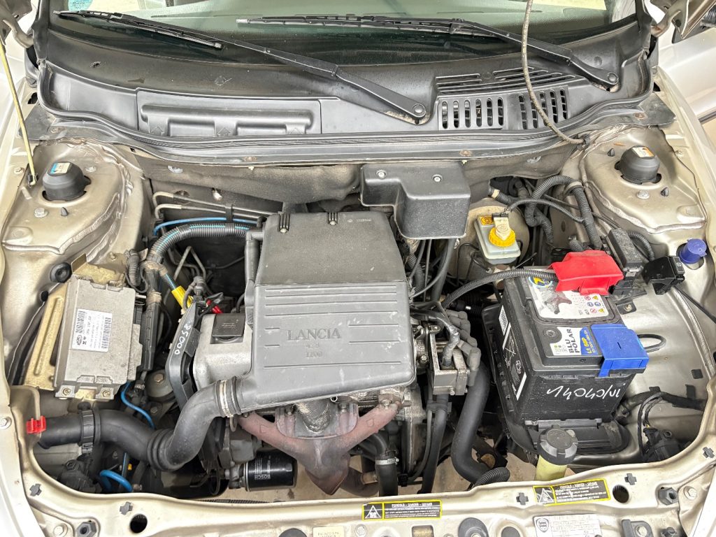 LANCIA Y 1.1i cat Elefantino TENUTRA BENE PRONTA CONSEGNA - 23