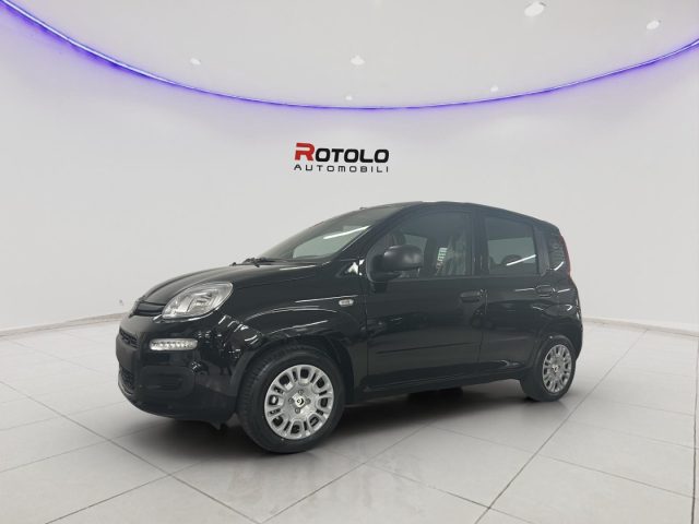 FIAT Panda Nero pastello