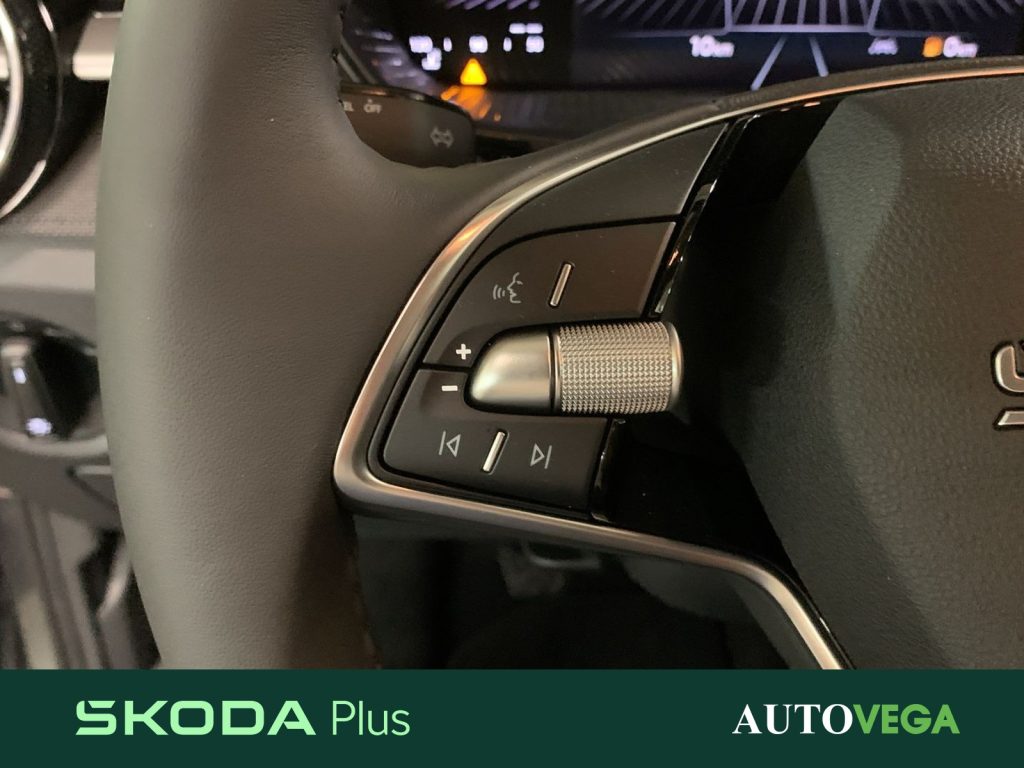 SKODA Fabia 1.0 tsi evo young edition 95cv - 12