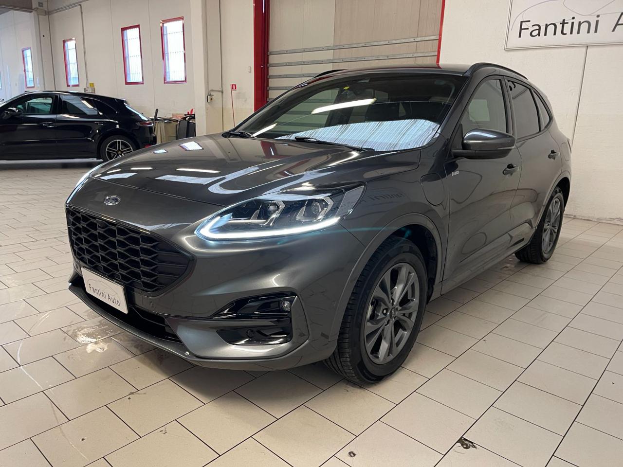 Kuga 1