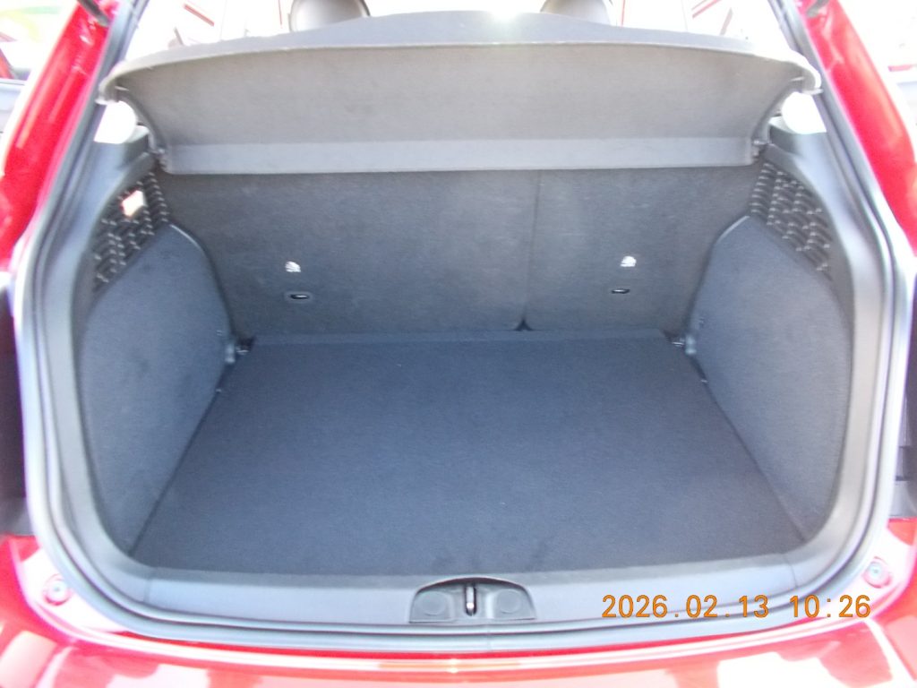 FIAT 500X 1.3 MultiJet 95 CV CONNECT - 15