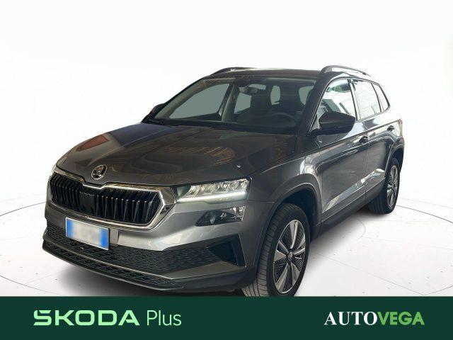 SKODA Karoq Grigio pastello