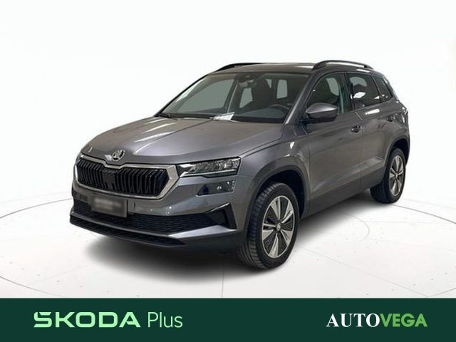 SKODA Karoq Grigio pastello
