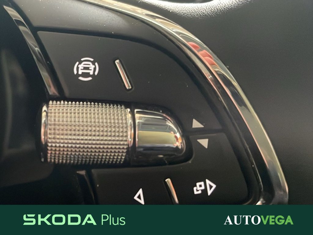 SKODA Karoq 2.0 tdi evo ambition 115cv - 13