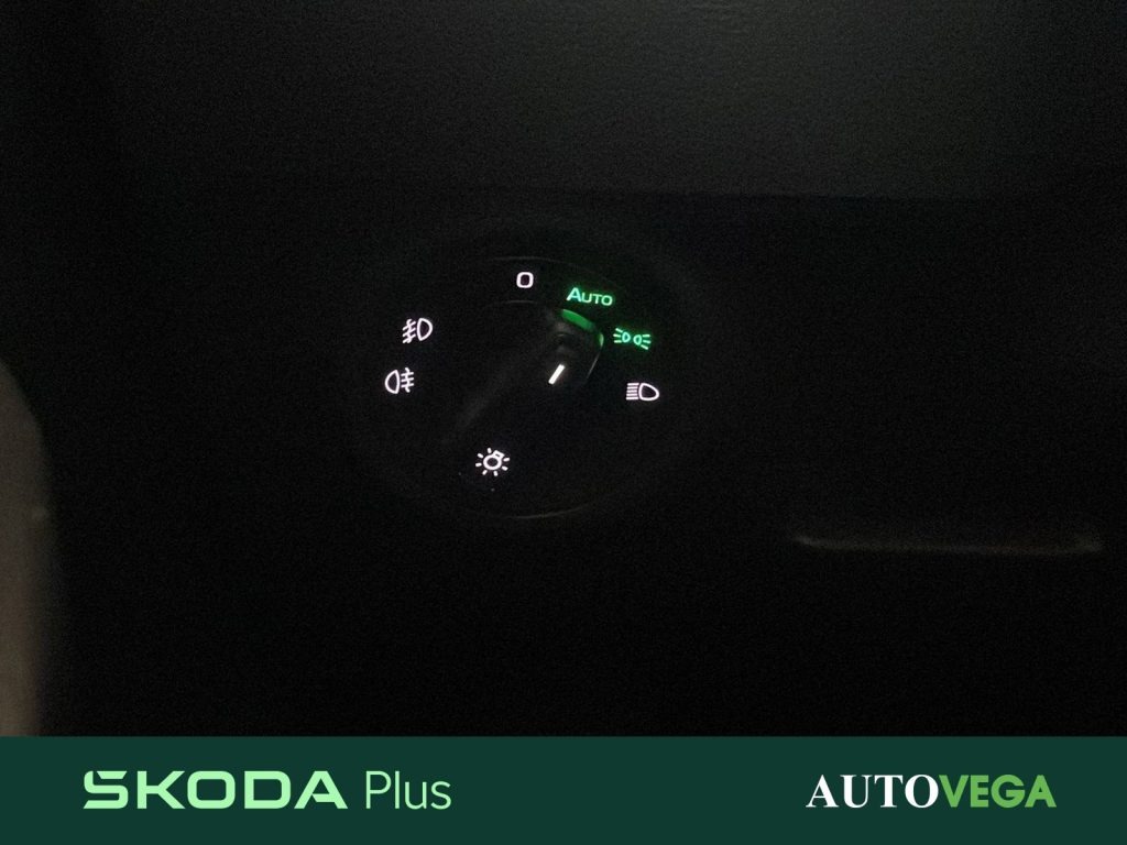 SKODA Karoq 2.0 tdi evo ambition 115cv - 15