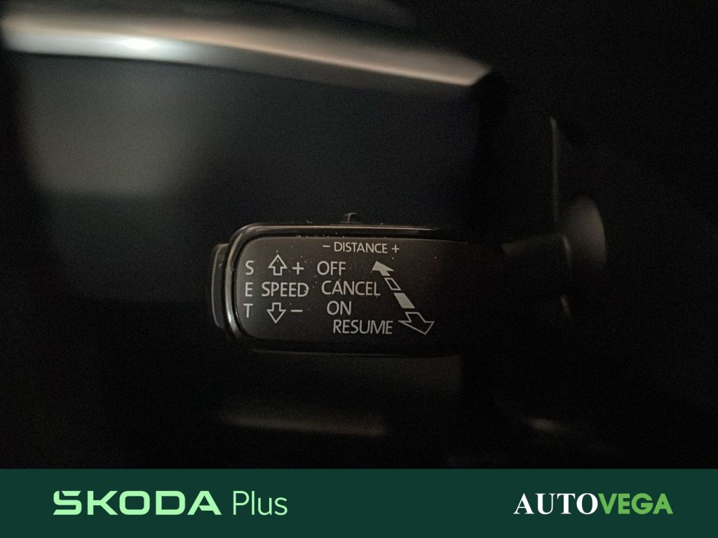 SKODA Karoq 2.0 tdi evo ambition 115cv - 18