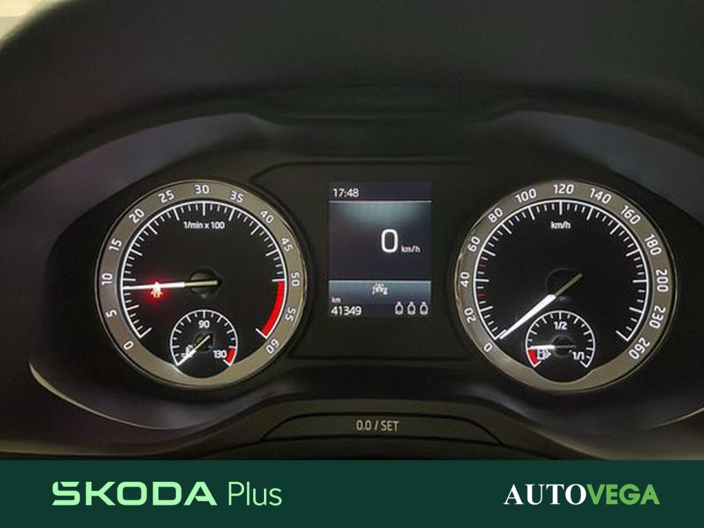 SKODA Karoq 2.0 tdi evo ambition 115cv - 15