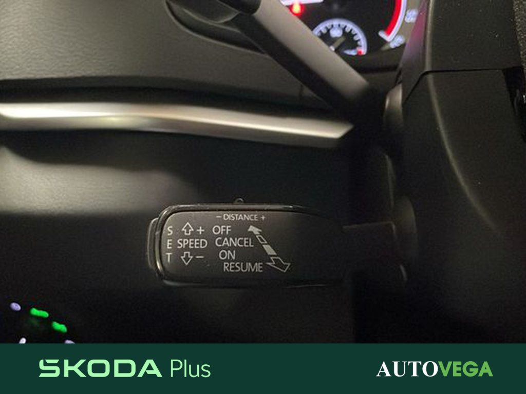 SKODA Karoq 2.0 tdi evo ambition 115cv - 16
