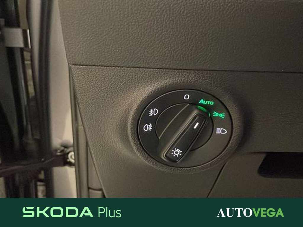 SKODA Karoq 2.0 tdi evo ambition 115cv - 17
