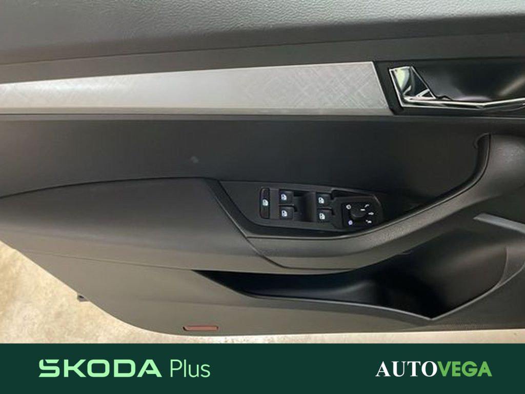 SKODA Karoq 2.0 tdi evo ambition 115cv - 18