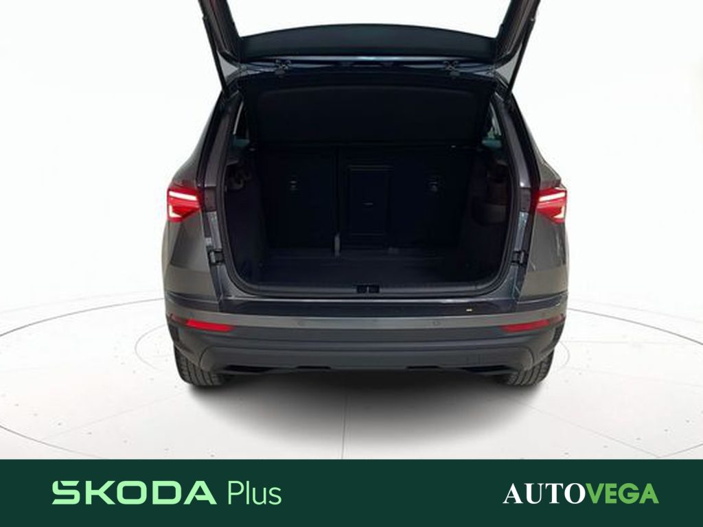 SKODA Karoq 2.0 tdi evo ambition 115cv - 19