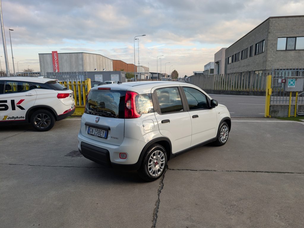 FIAT Panda 1.0 FireFly S&S Hybrid 70CV - OK NEOPATENTATI - 5