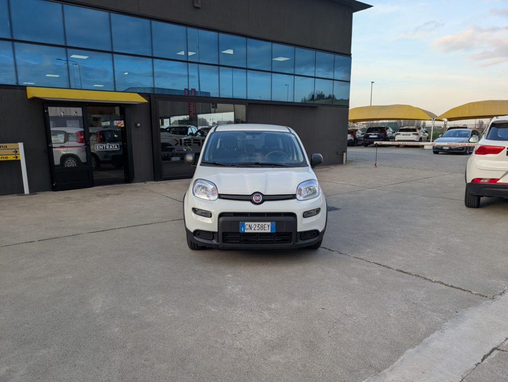 FIAT Panda 1.0 FireFly S&S Hybrid 70CV - OK NEOPATENTATI - 2